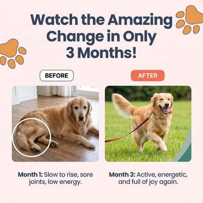 RestorePaw VitalMush™ Chews