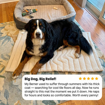 RestorePaw ChillCore™ Cooling Mat