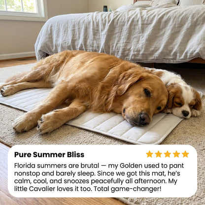 RestorePaw ChillCore™ Cooling Mat
